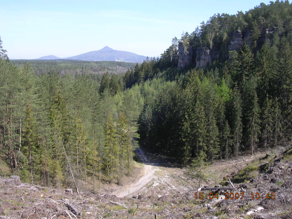 JARO 2007 084.jpg
