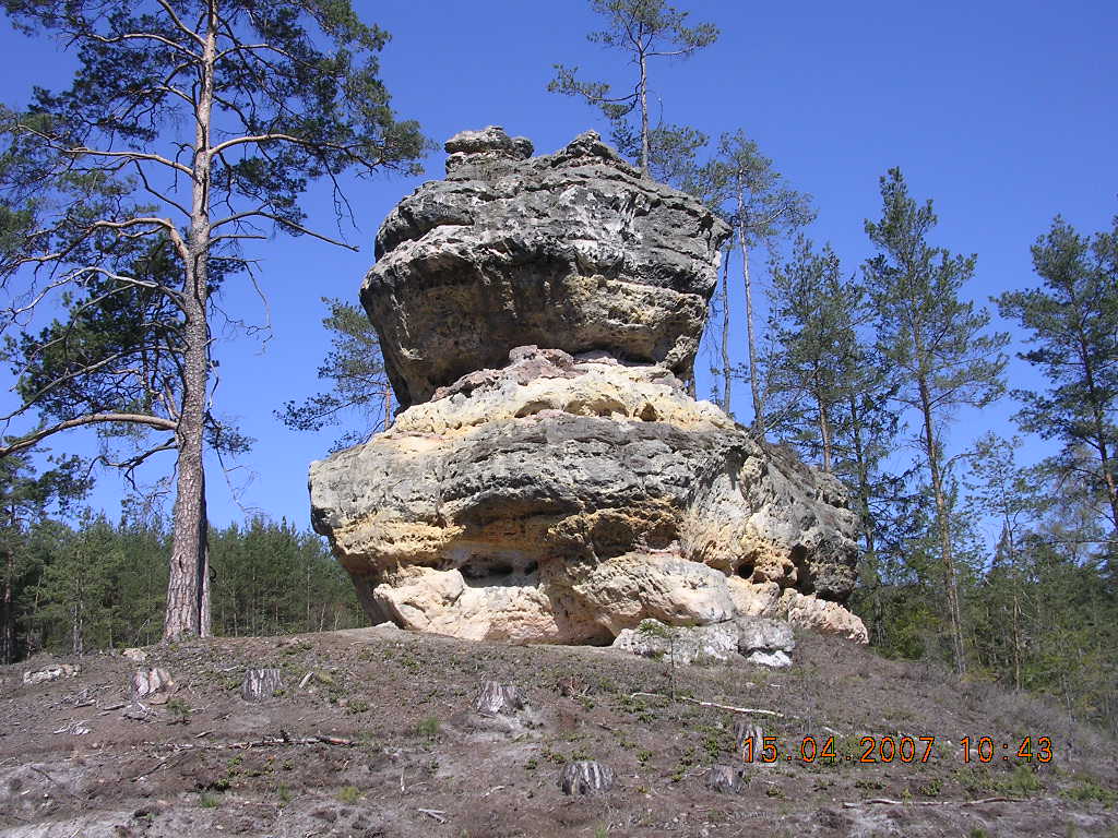 JARO 2007 080.jpg