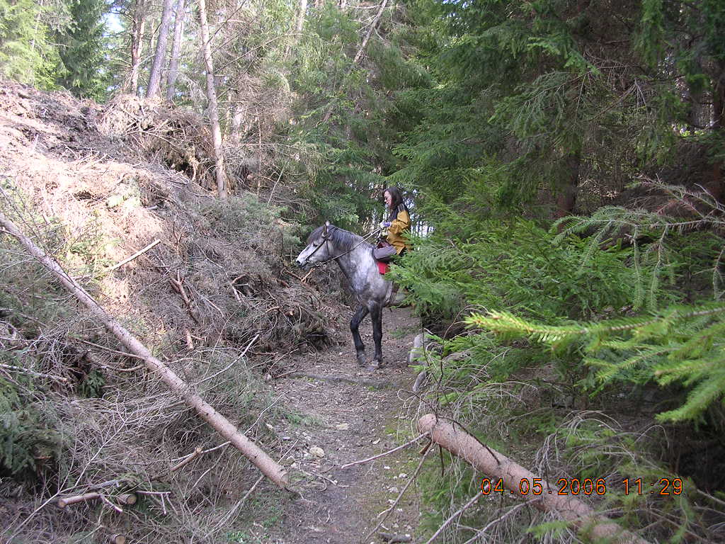 JARO 2006 270.jpg
