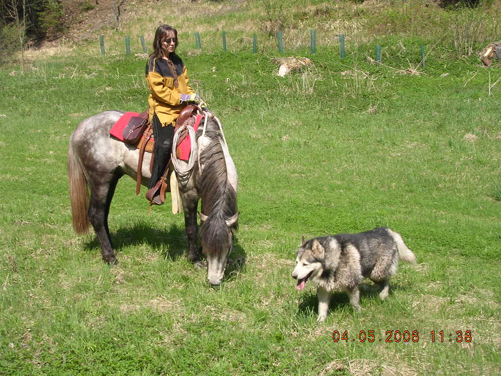 JARO 2006 273.jpg