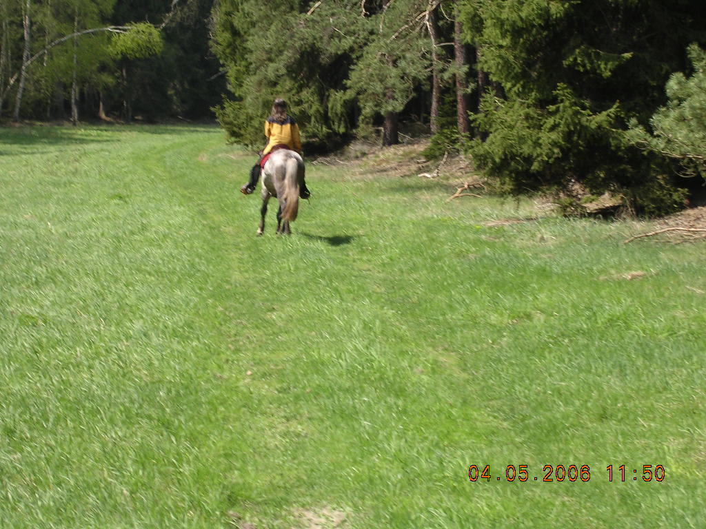 JARO 2006 275.jpg