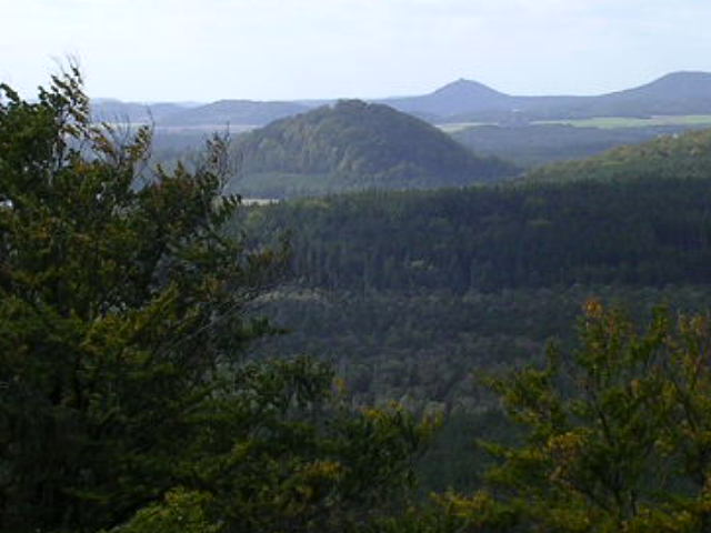 LETO 2007 450.jpg